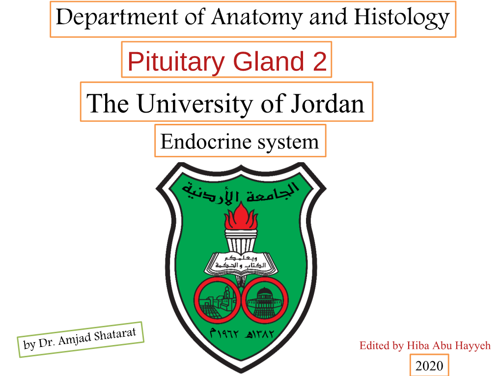 Pituitary Gland 2 the University of Jordan Endocrine System