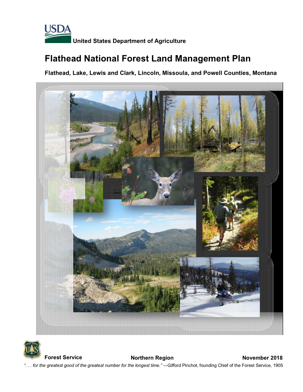 Flathead National Forest Land Management Plan