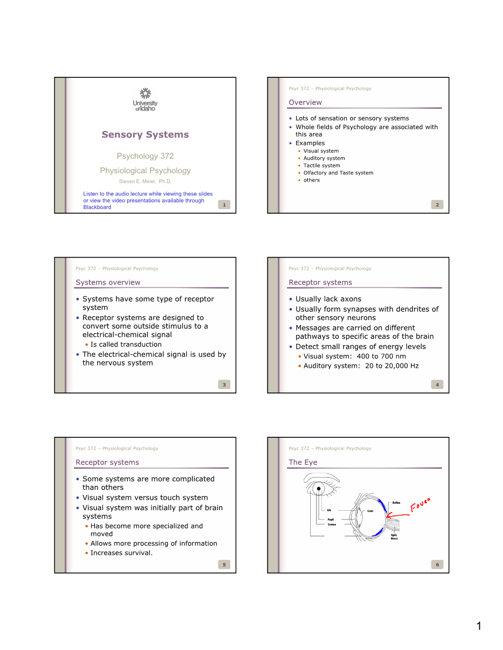 Sensory Systems