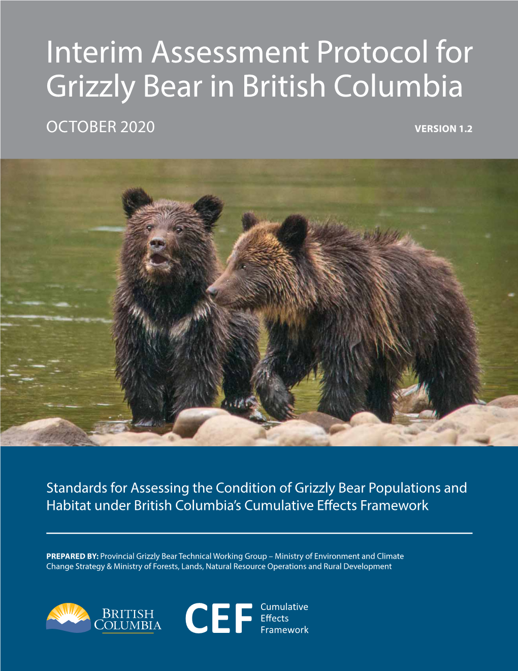 Interim Assessment Protocol for Grizzly Bear in British Columbia