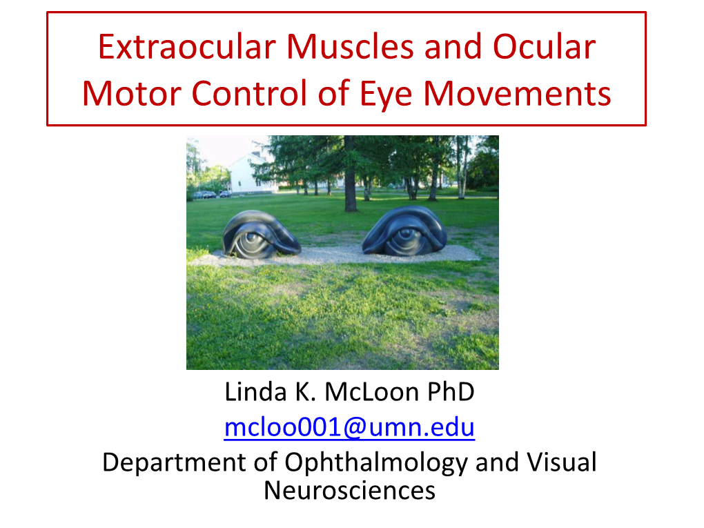 Control of Eye Movements