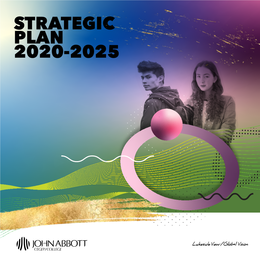 Strategic Plan 2020-2025 Strategic Plan 2020-2025 Lakeside View ...