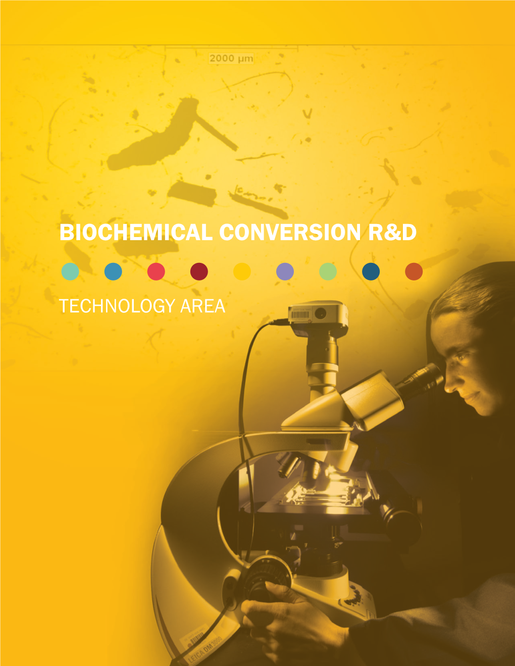 Biochemical Conversion R&D