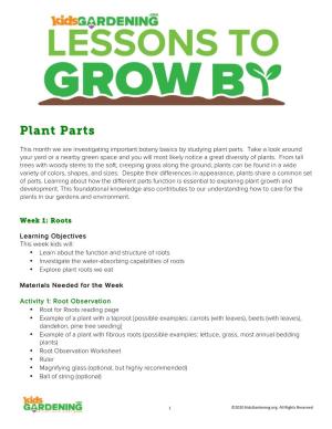 Plant Parts- Roots