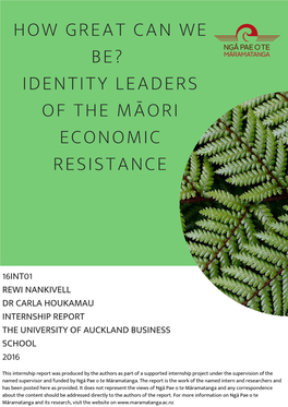 Identity Leaders of the Māori Economic Resistance Internship