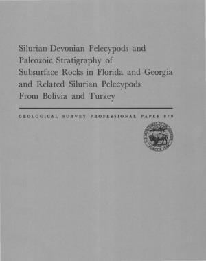 Silurian-Devonian Pelecypods and Paleozoic Stratigraphy of Subsurface Rocks in Florida and Georgia and Related Silurian Pelecypods from Bolivia and Turkey