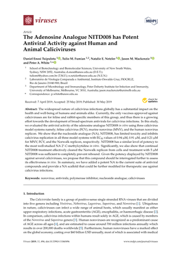 The Adenosine Analogue NITD008 Has Potent Antiviral Activity Against Human and Animal Caliciviruses