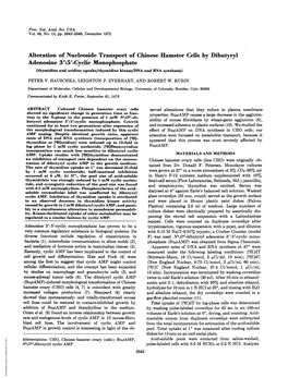 Alteration of Nucleoside Transport of Chinese Hamster Cells By