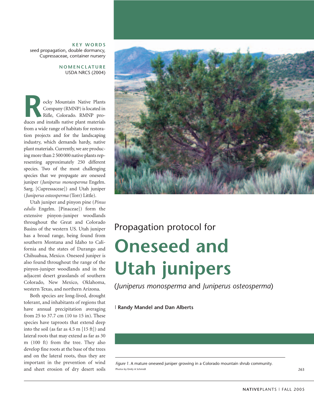 ONESEED and UTAH JUNIPERS Also Needed During Transplanting to Seedling Containers to Avoid J-Root Development