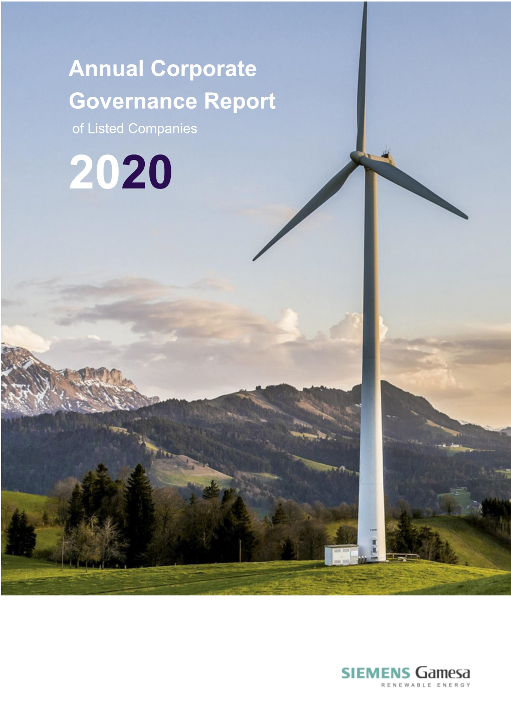 2020 Annual Corporate Governance Report