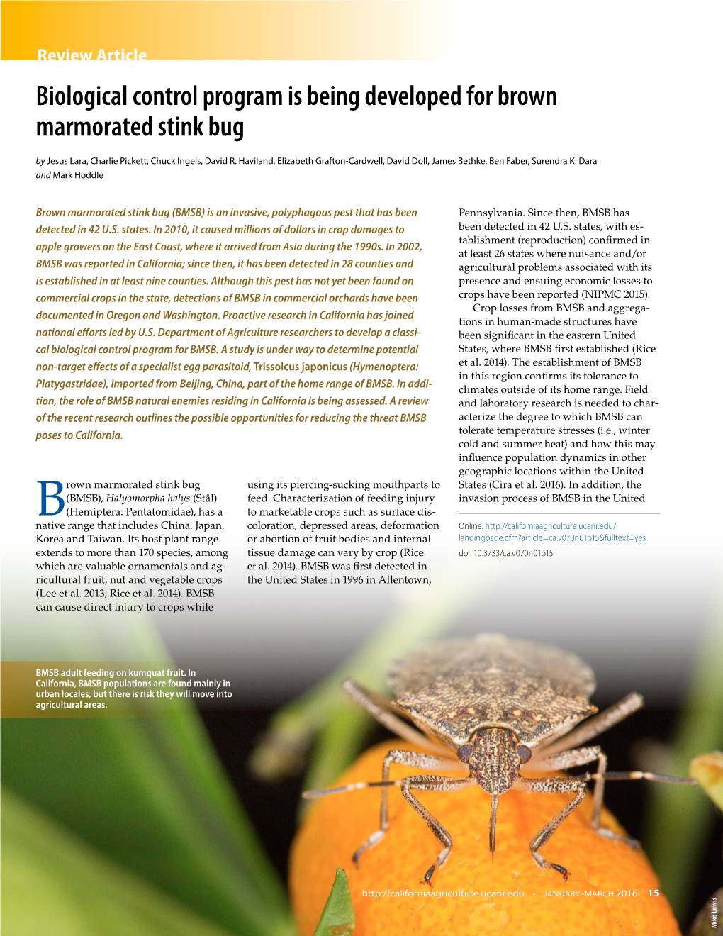 Biological Control Program Is Being Developed for Brown Marmorated Stink Bug by Jesus Lara, Charlie Pickett, Chuck Ingels, David R