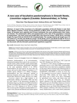A New Case of Facultative Paedomorphosis in Smooth Newts, Lissotriton Vulgaris (Caudata: Salamandridae), in Turkey