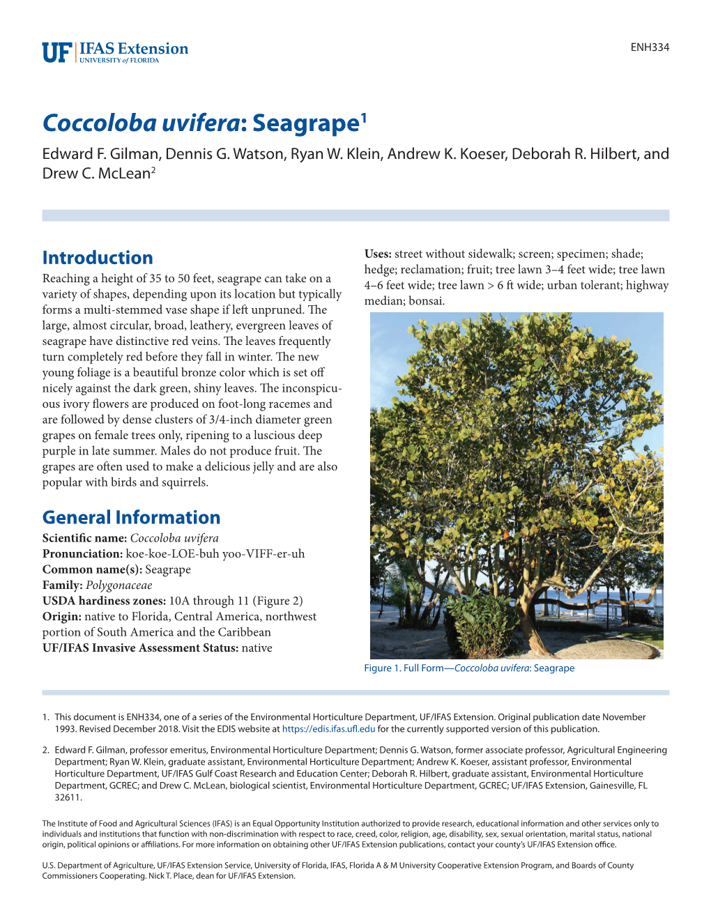 Coccoloba Uvifera: Seagrape1 Edward F