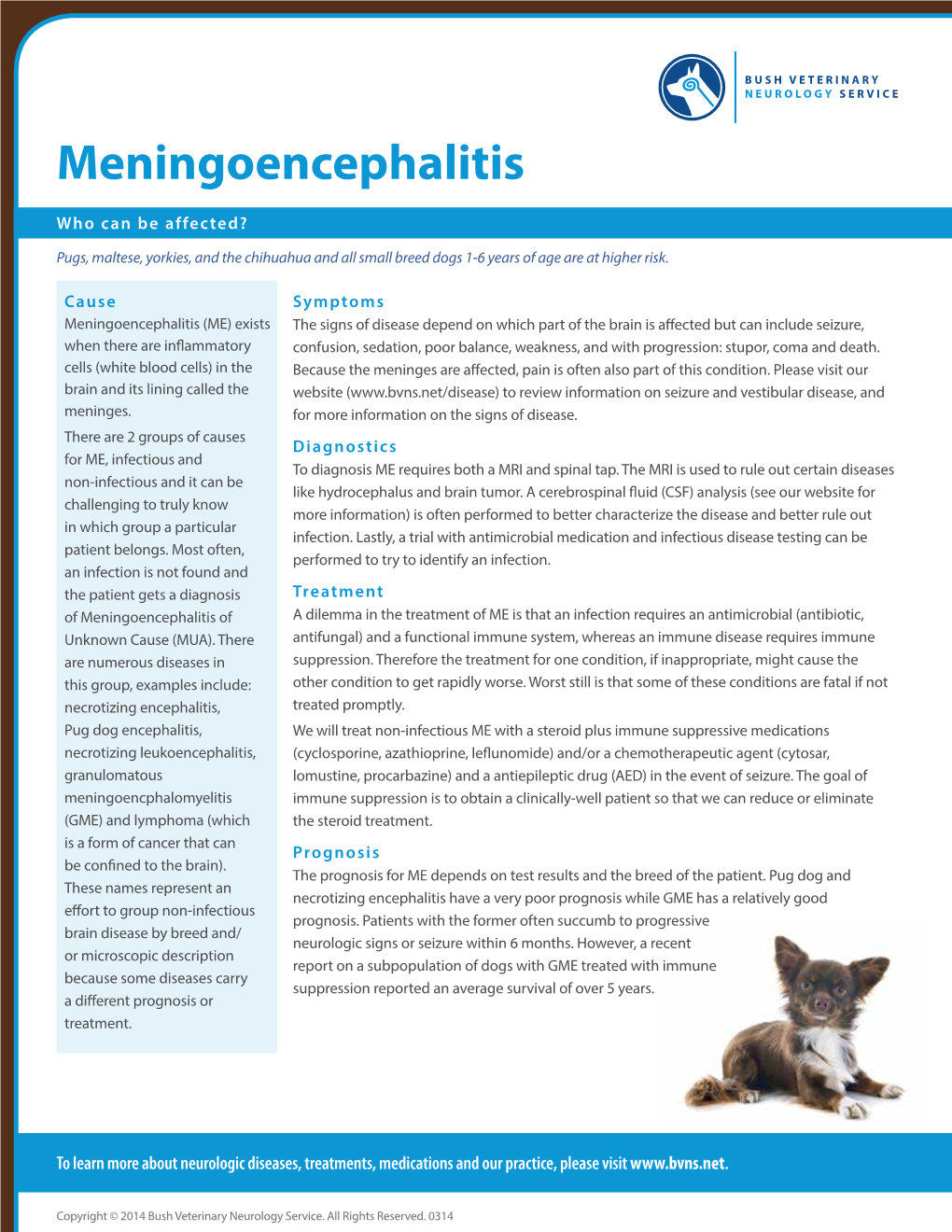 Meningoencephalitis