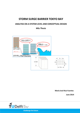 Storm Surge Barrier Tokyo Bay