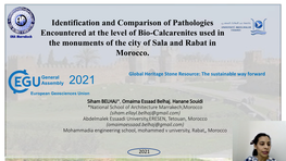 Identification and Comparison of Pathologies Encountered at the Level of Bio-Calcarenites Used in the Monuments of the City of Sala and Rabat in Morocco