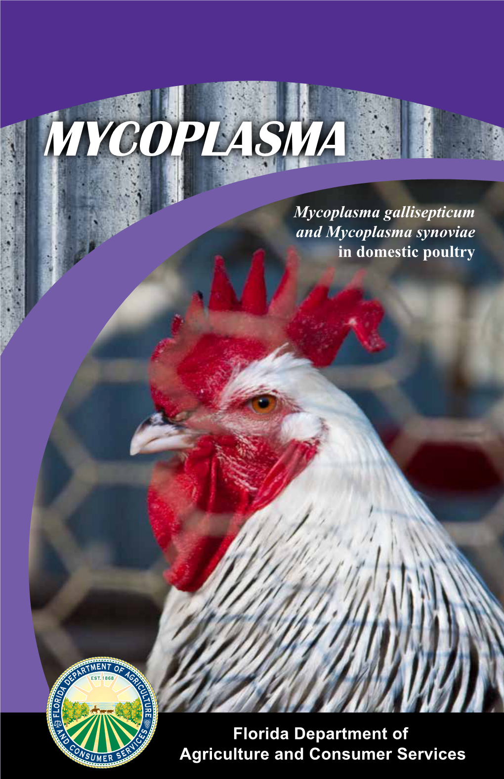 Mycoplasma Brochure