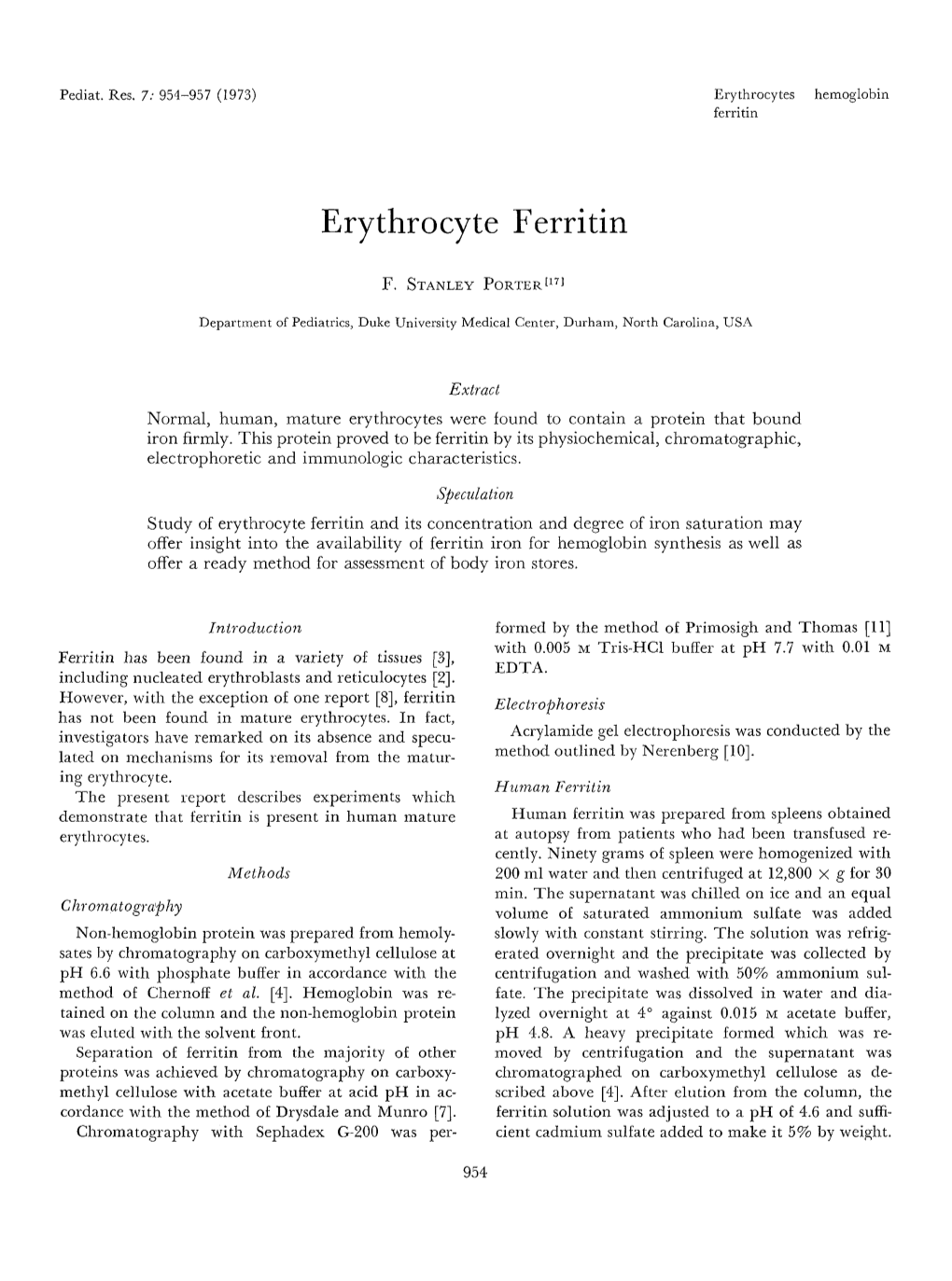 Erythrocyte Ferritin