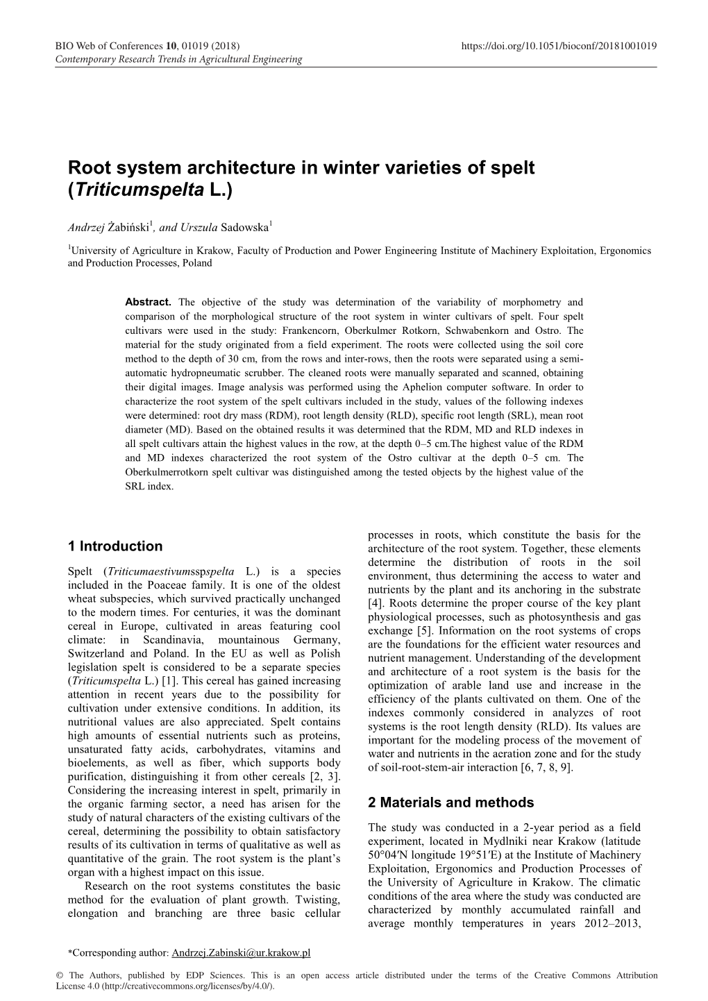 Root System Architecture in Winter Varieties of Spelt (Triticumspelta L.)