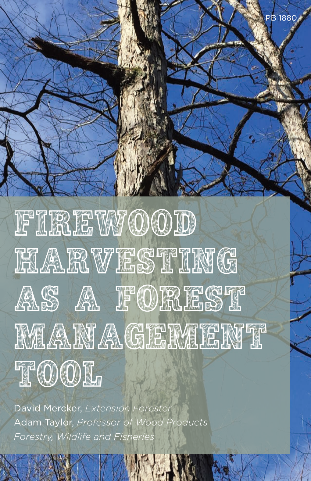 Firewood Harvesting As a Forest Management Tool