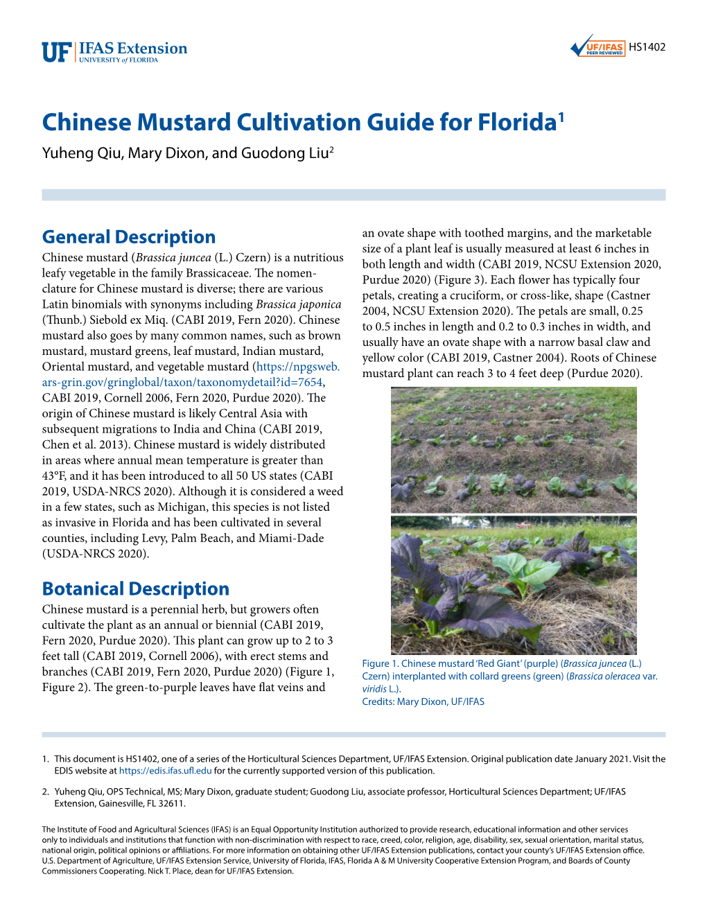 Chinese Mustard Cultivation Guide for Florida1 Yuheng Qiu, Mary Dixon, and Guodong Liu2