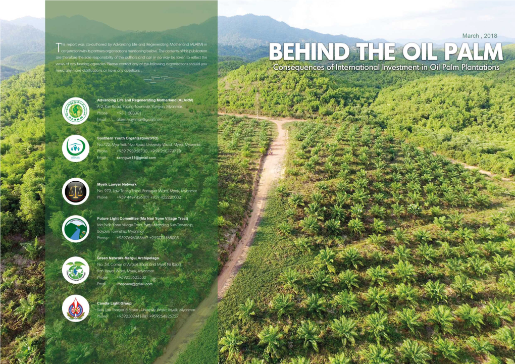 Behind the Oil Palm 1