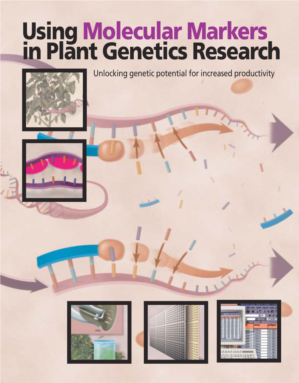 Using Molecular Markers in Plant Genetics Research