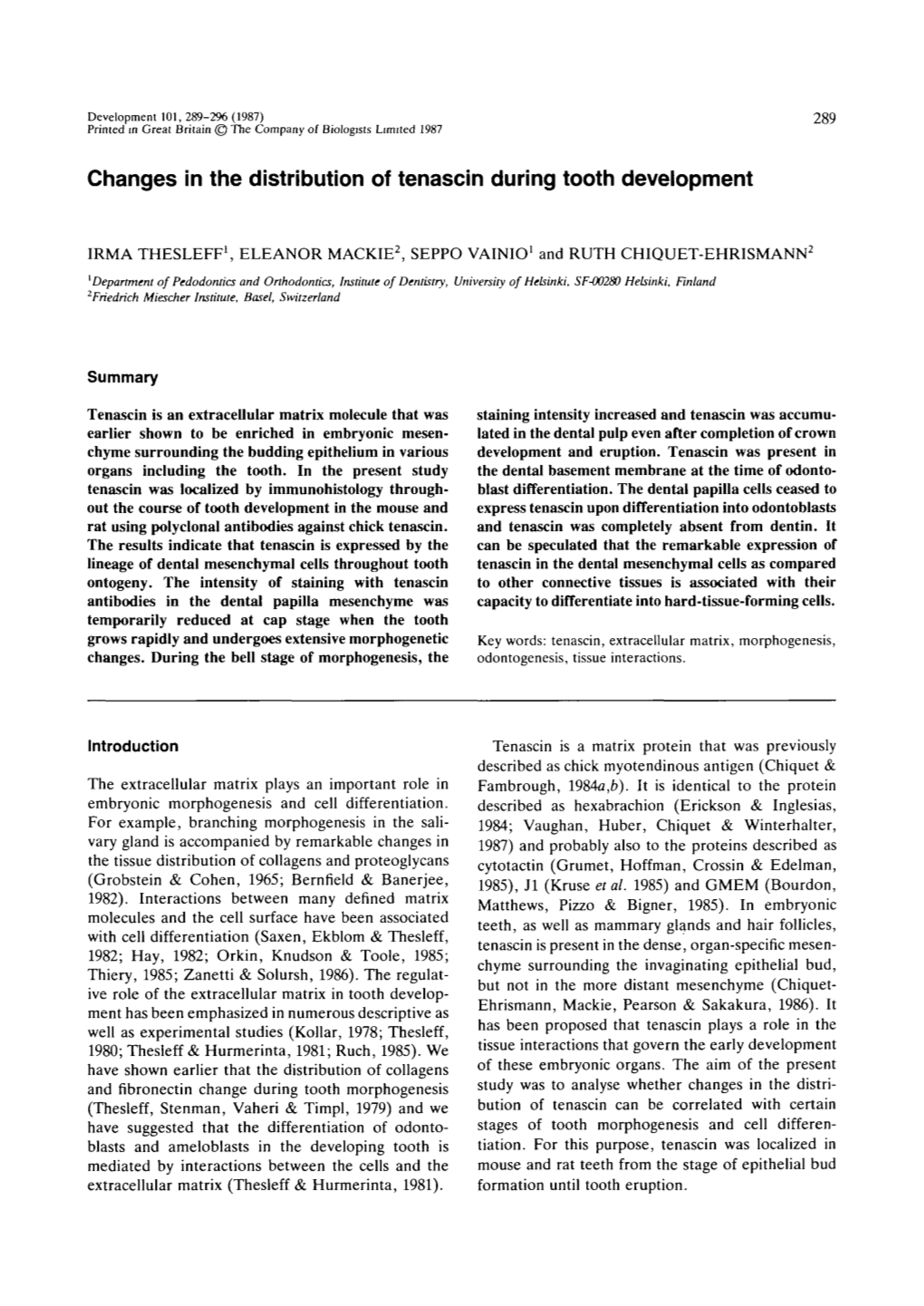 Changes in the Distribution of Tenascin During Tooth Development