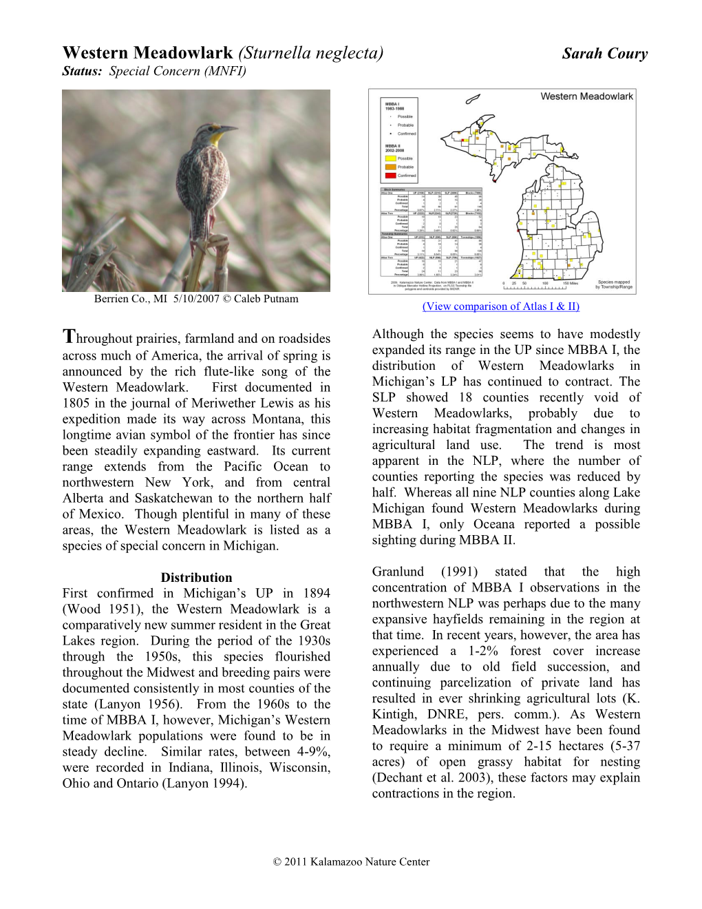 Western Meadowlark (Sturnella Neglecta) Sarah Coury Status: Special Concern (MNFI)