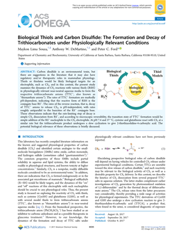 Biological Thiols and Carbon Disulfide: the Formation and Decay Of