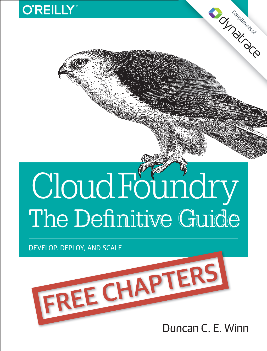 Cloud Foundry the Deﬁ Nitive Guide