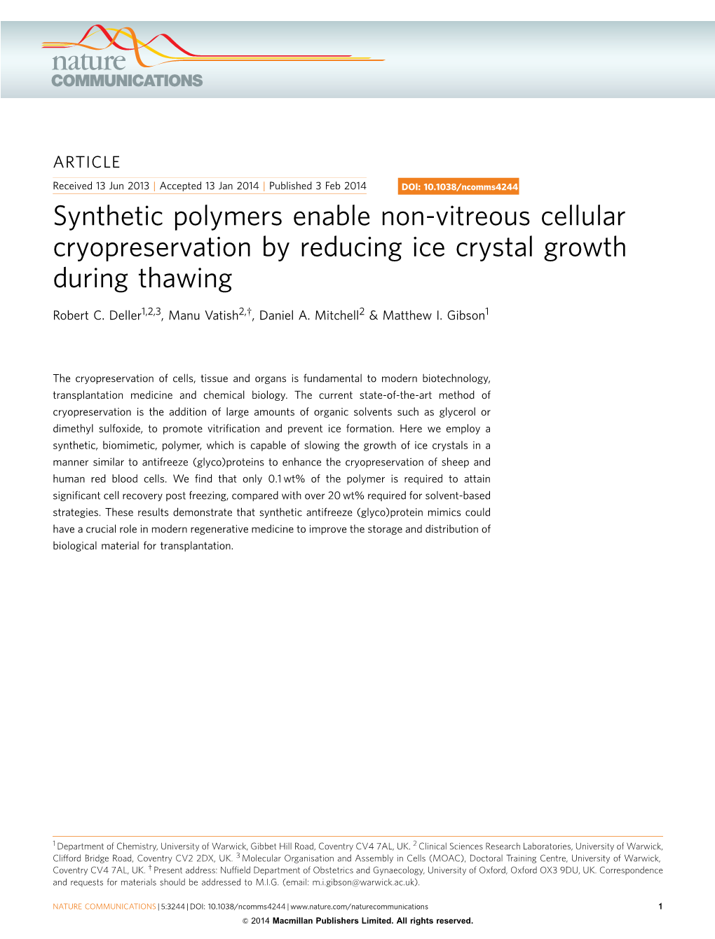 Synthetic Polymers Enable Non-Vitreous Cellular Cryopreservation by Reducing Ice Crystal Growth During Thawing