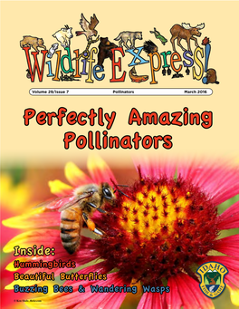 Pollinators March 2016 Perfectly Amazing Pollinators