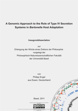 A Genomic Approach to the Role of Type IV Secretion Systems in Bartonella Host Adaptation