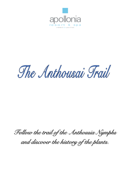 Follow the Trail of the Anthousia Nymphs and Discover the History of the Plants