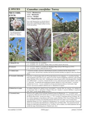 Ceanothus Crassifolius Torrey NRCS CODE: Family: Rhamnaceae (CECR) Order: Rhamnales Subclass: Rosidae Class: Magnoliopsida