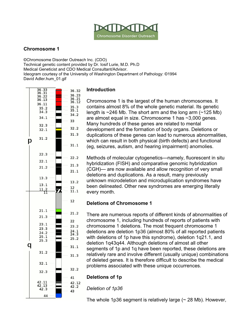 1 Chromosome Chapter