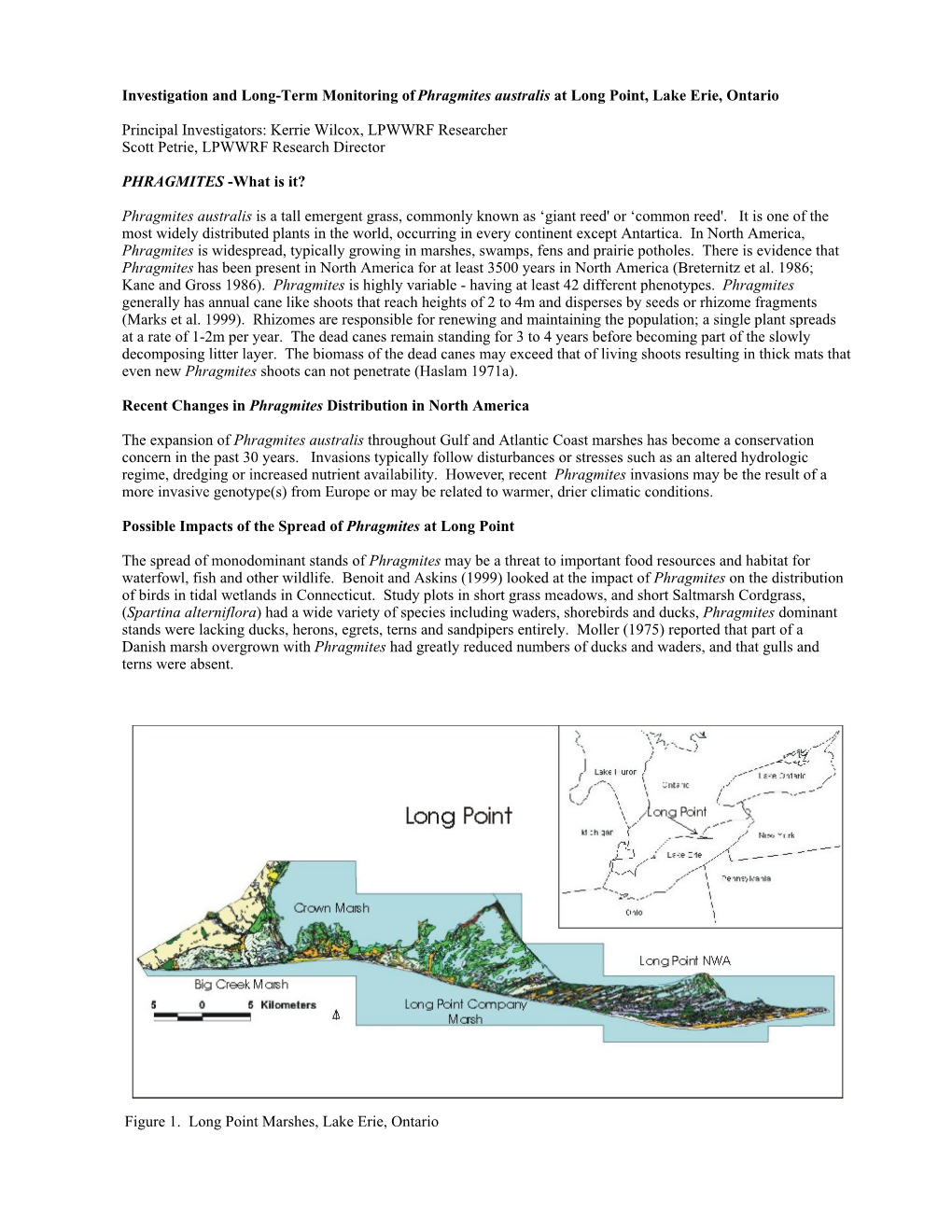 Investigation and Long-Term Monitoring of Phragmites Australis at Long Point, Lake Erie, Ontario