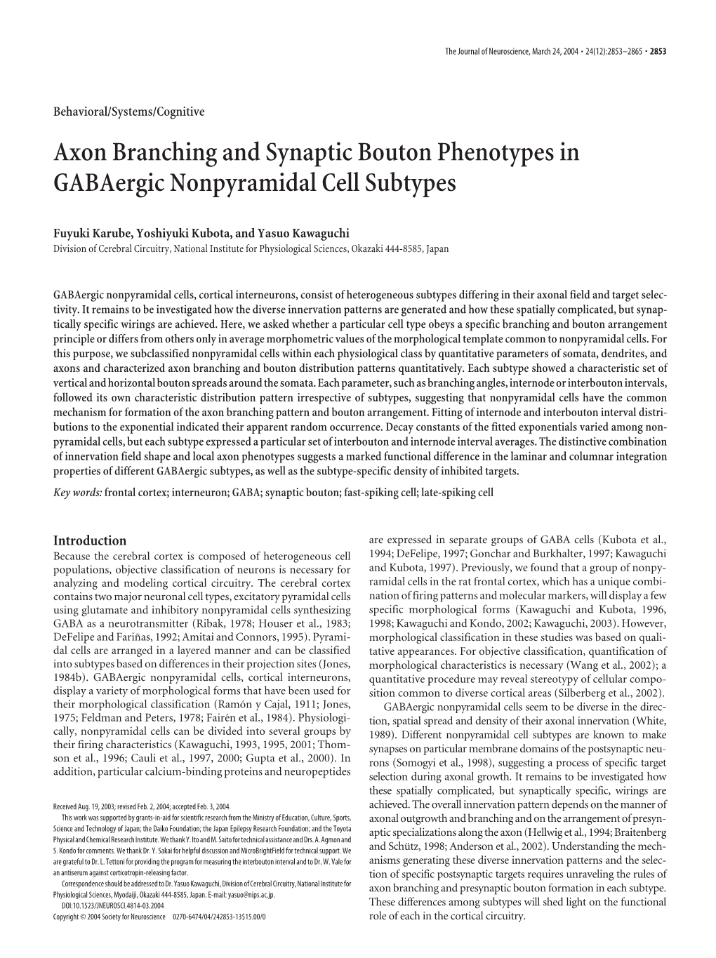 Axon Branching and Synaptic Bouton Phenotypes in Gabaergic Nonpyramidal Cell Subtypes