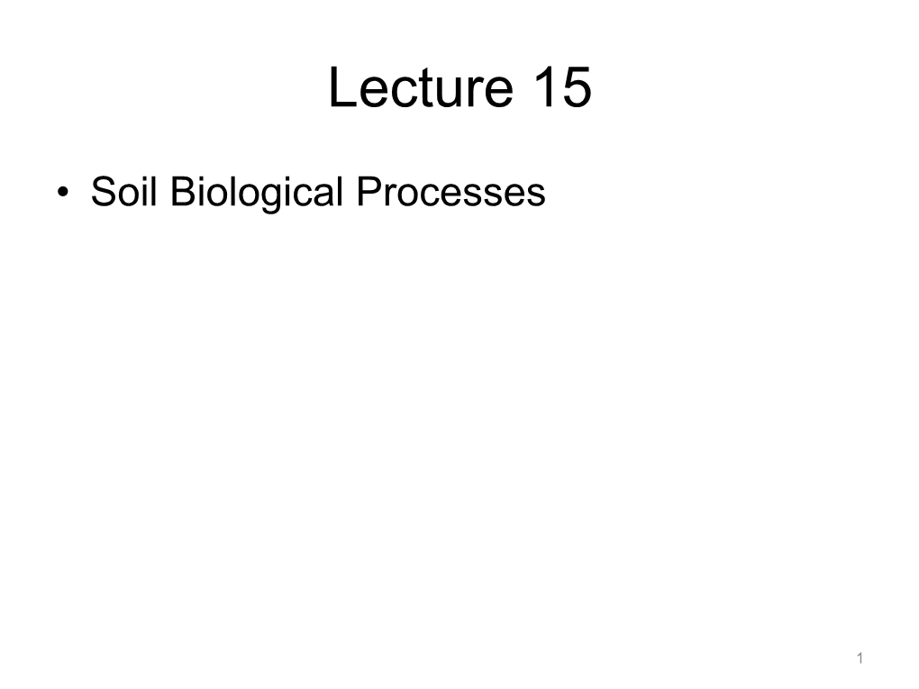 Soil Biological Processes