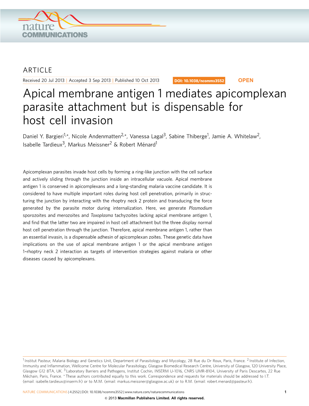 Apical Membrane Antigen 1 Mediates Apicomplexan Parasite Attachment but Is Dispensable for Host Cell Invasion