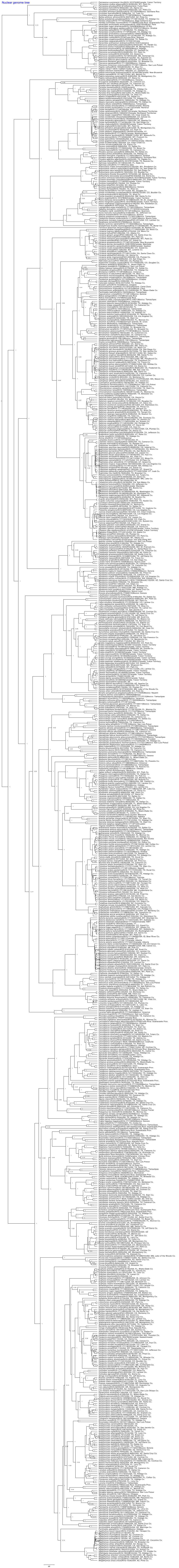 Nuclear Genome Tree