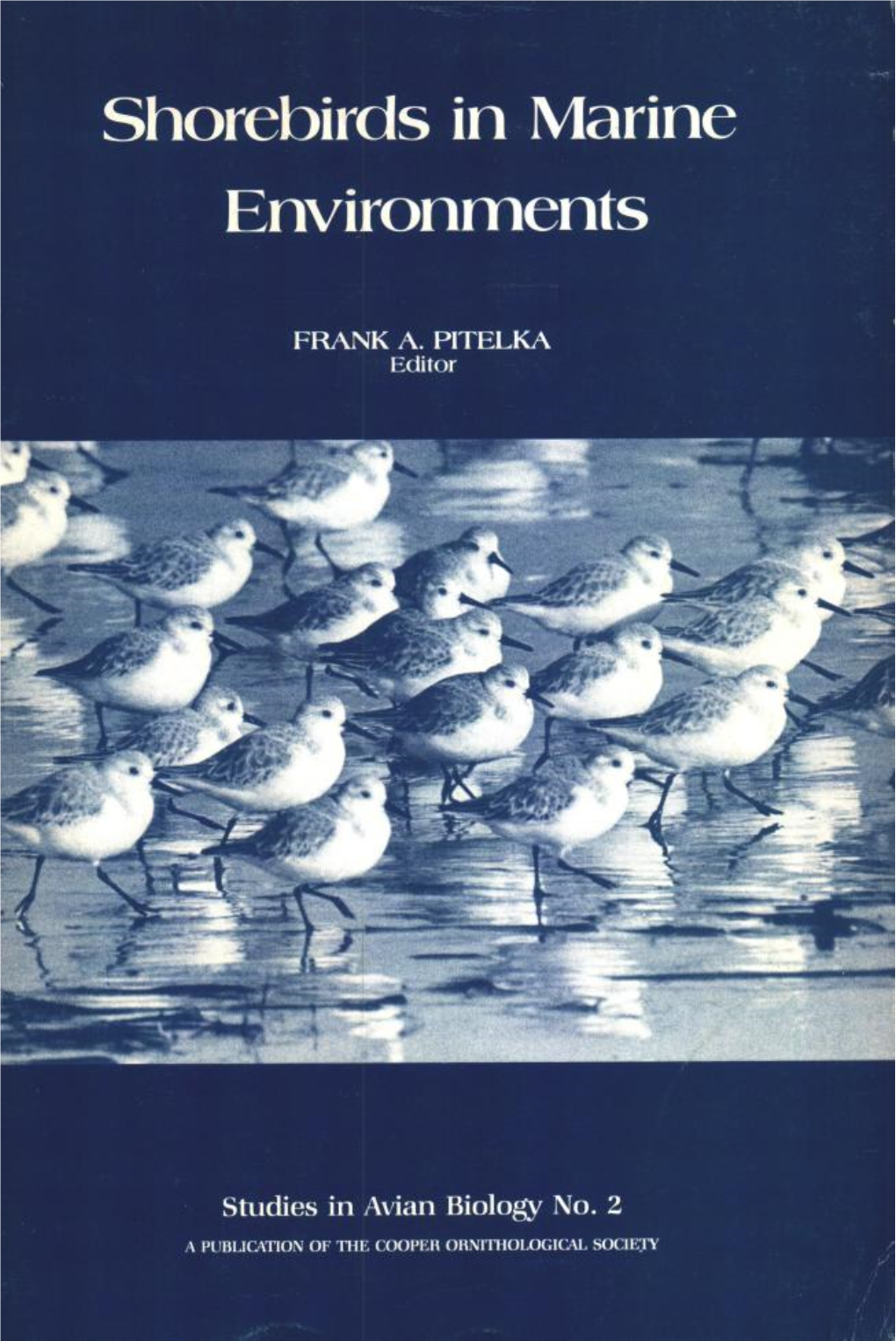 Shorebirds in Marine Environments