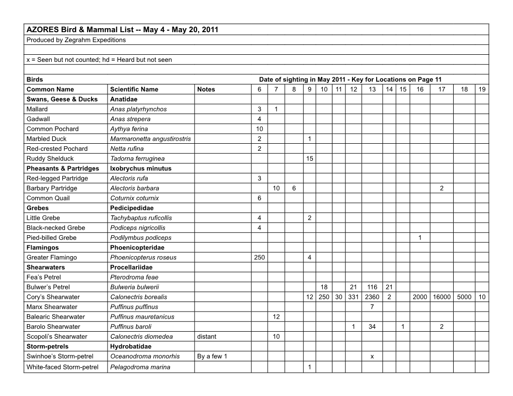 AZORES Bird & Mammal List -- May 4