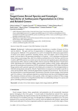 Target-Genes Reveal Species and Genotypic Specificity of Anthocyanin Pigmentation in Citrus and Related Genera