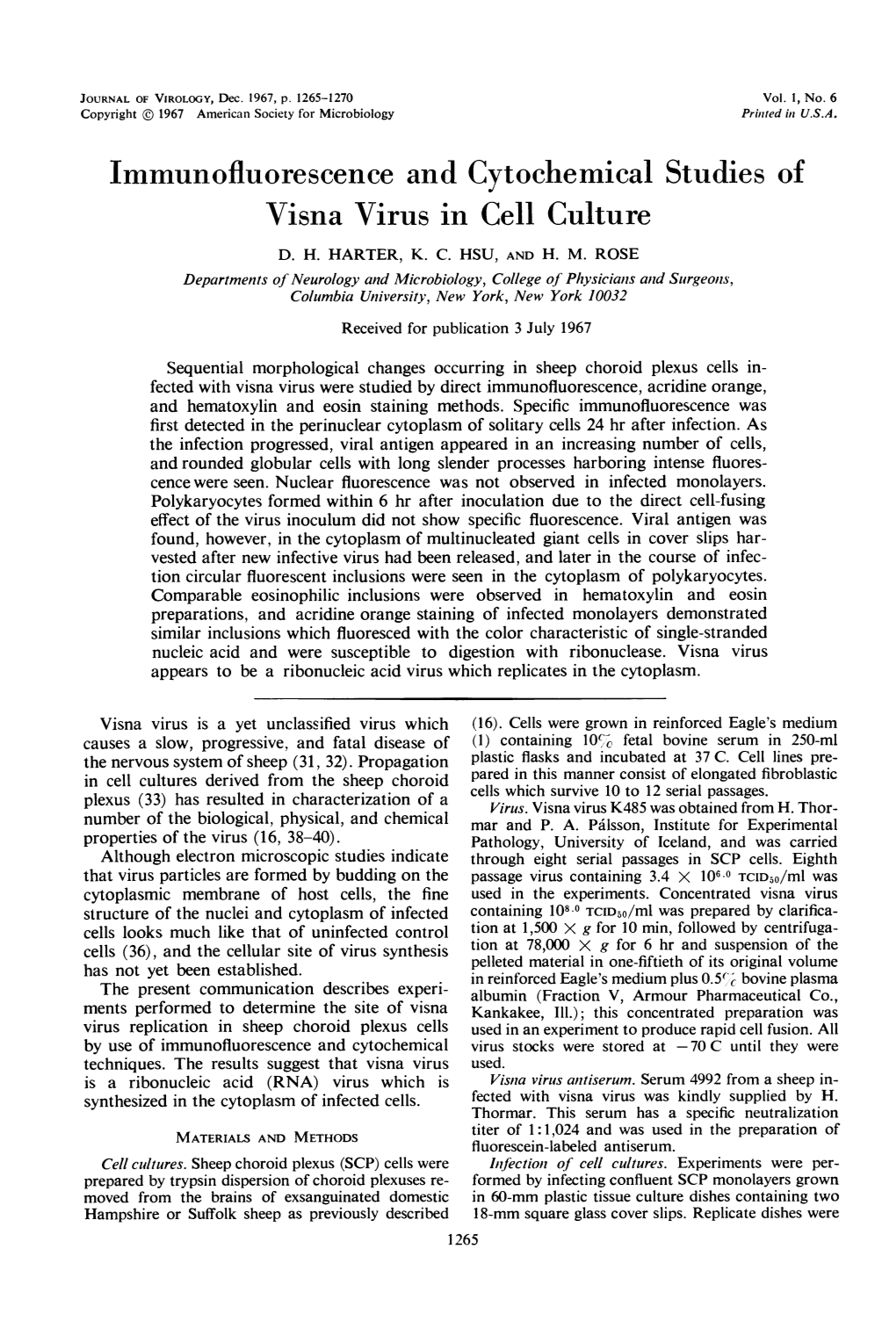 Immunofluorescence and Cytochemical Studies of Visna Virus in Cell Culture