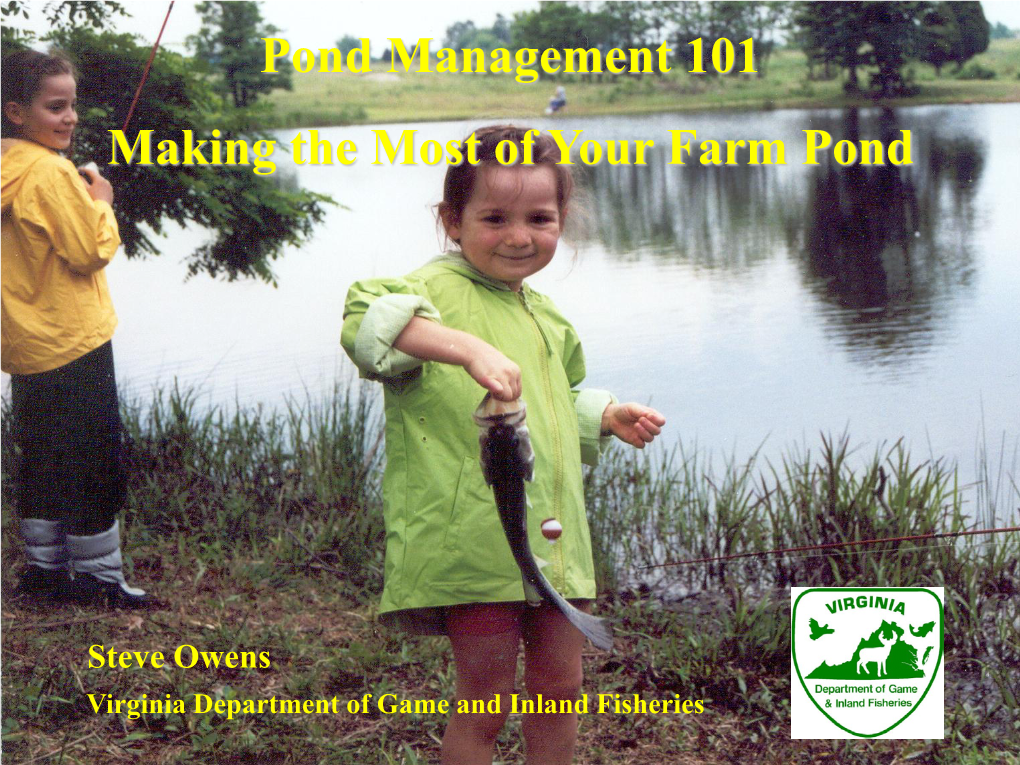 Pond Management 101 Making the Most of Your Farm Pond