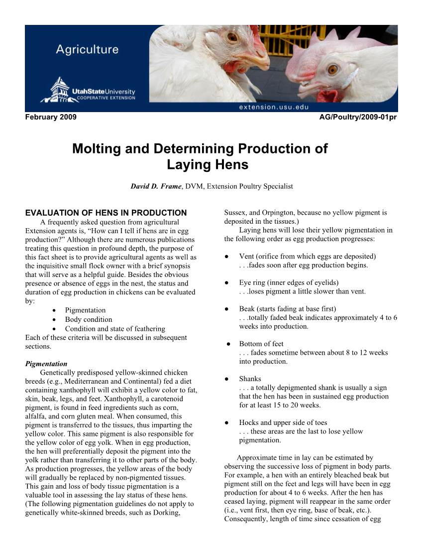 Molting and Determining Production of Laying Hens