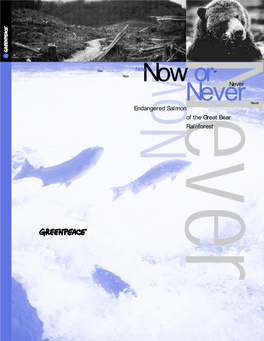 Now Or Never 2