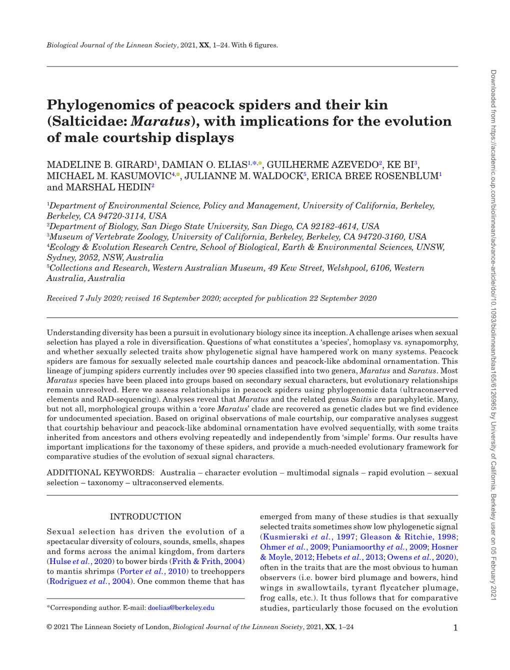 Salticidae: Maratus), with Implications for the Evolution of Male Courtship Displays